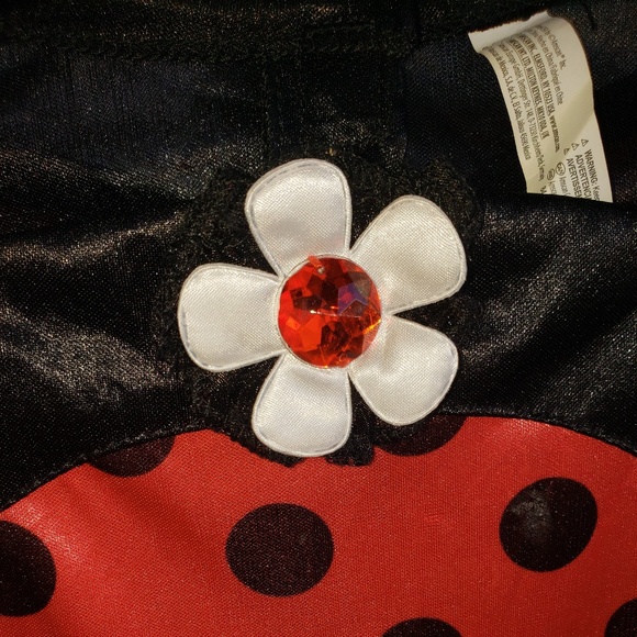Girl Ladybug Costume - Picture 5 of 5